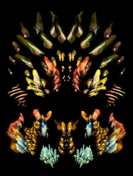 Painting entitled Feline Species